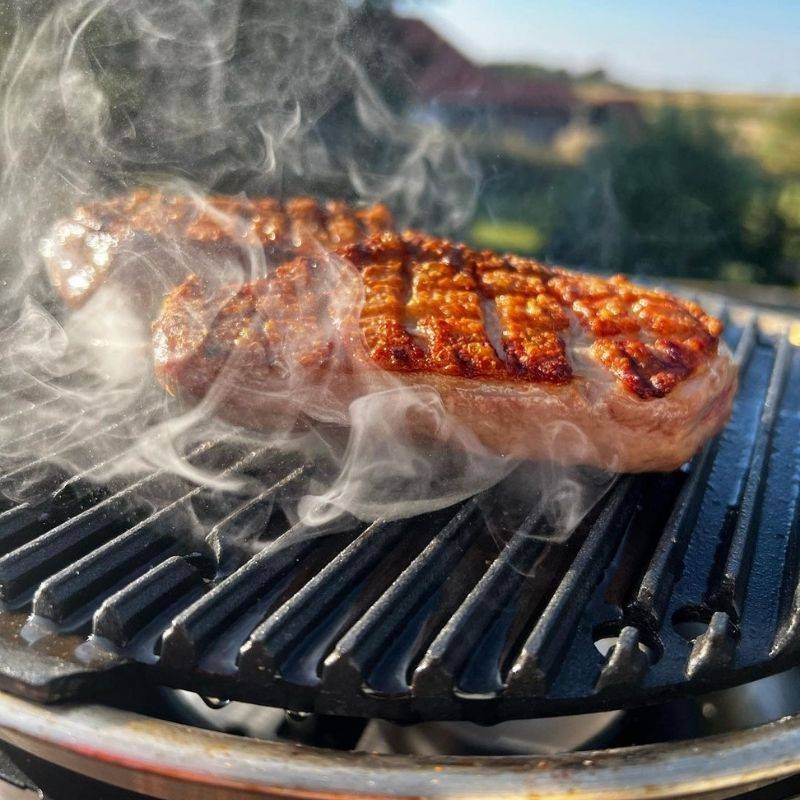 Portable Braai 5